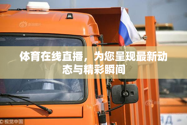 体育在线直播，为您呈现最新动态与精彩瞬间