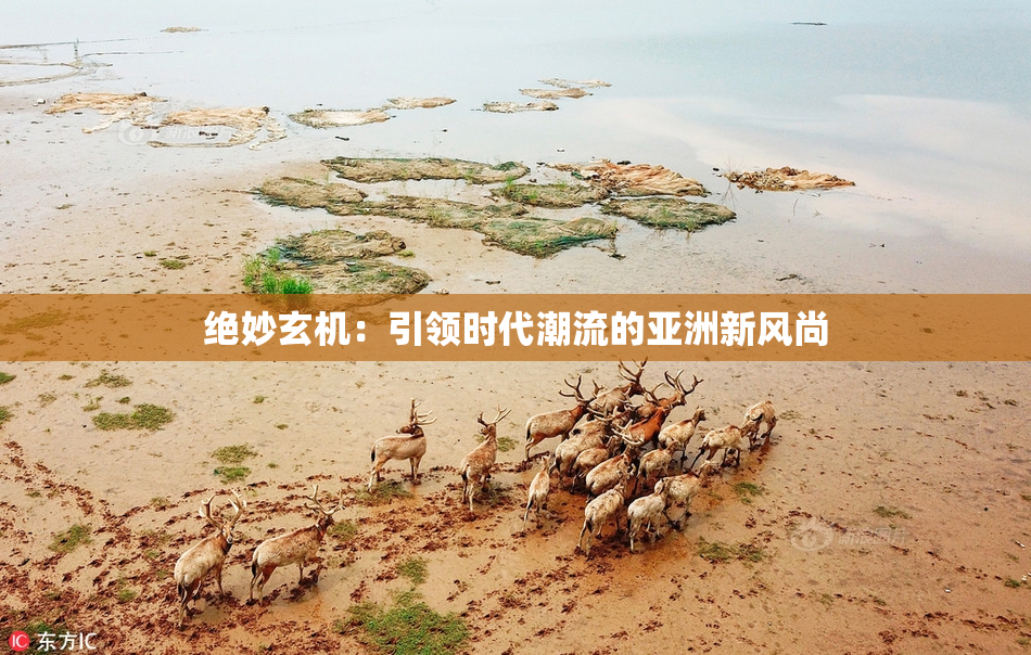 绝妙玄机：引领时代潮流的亚洲新风尚