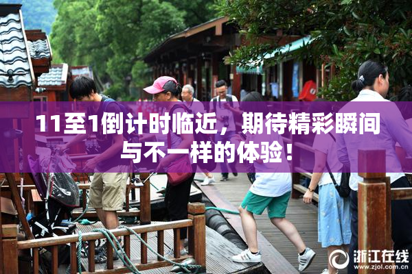 11至1倒计时临近，期待精彩瞬间与不一样的体验！