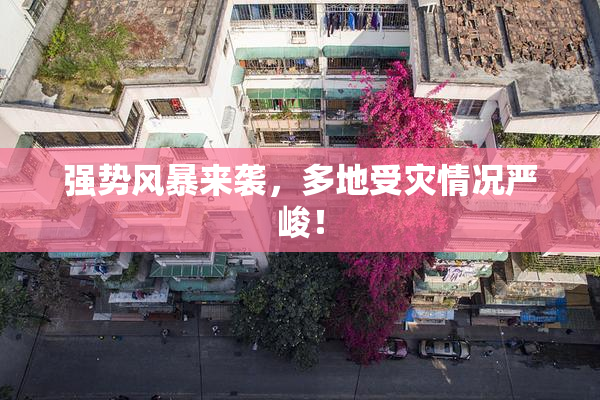 强势风暴来袭，多地受灾情况严峻！