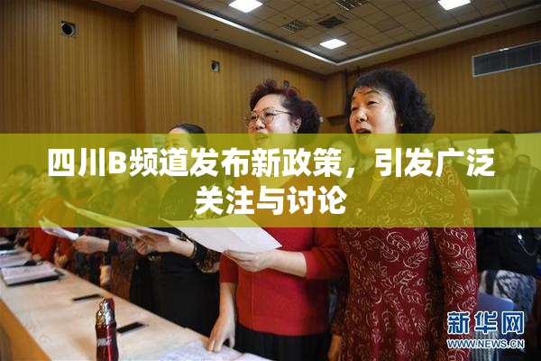 四川B频道发布新政策，引发广泛关注与讨论