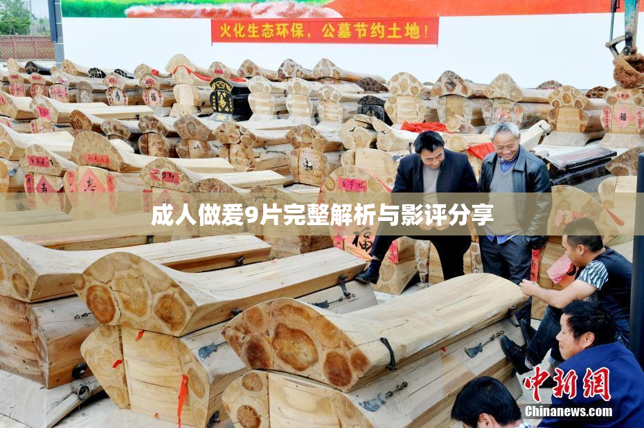 成人做爰9片完整解析与影评分享