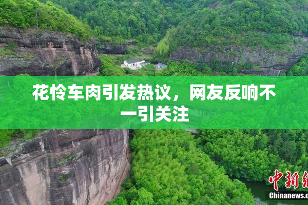 花怜车肉引发热议，网友反响不一引关注