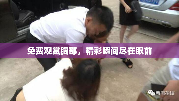 免费观赏胸部，精彩瞬间尽在眼前