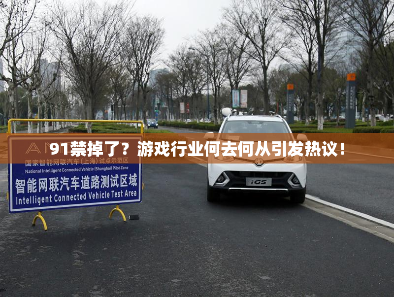 91禁掉了？游戏行业何去何从引发热议！