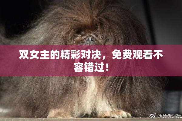 双女主的精彩对决，免费观看不容错过！