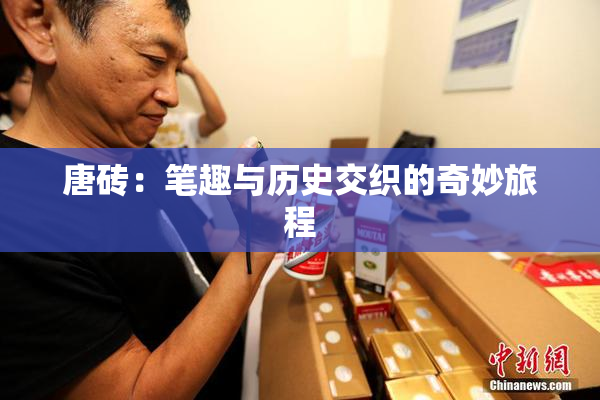 唐砖：笔趣与历史交织的奇妙旅程