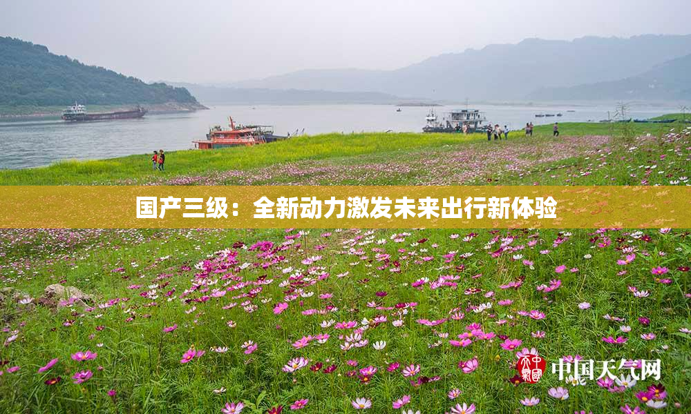 国产三级：全新动力激发未来出行新体验