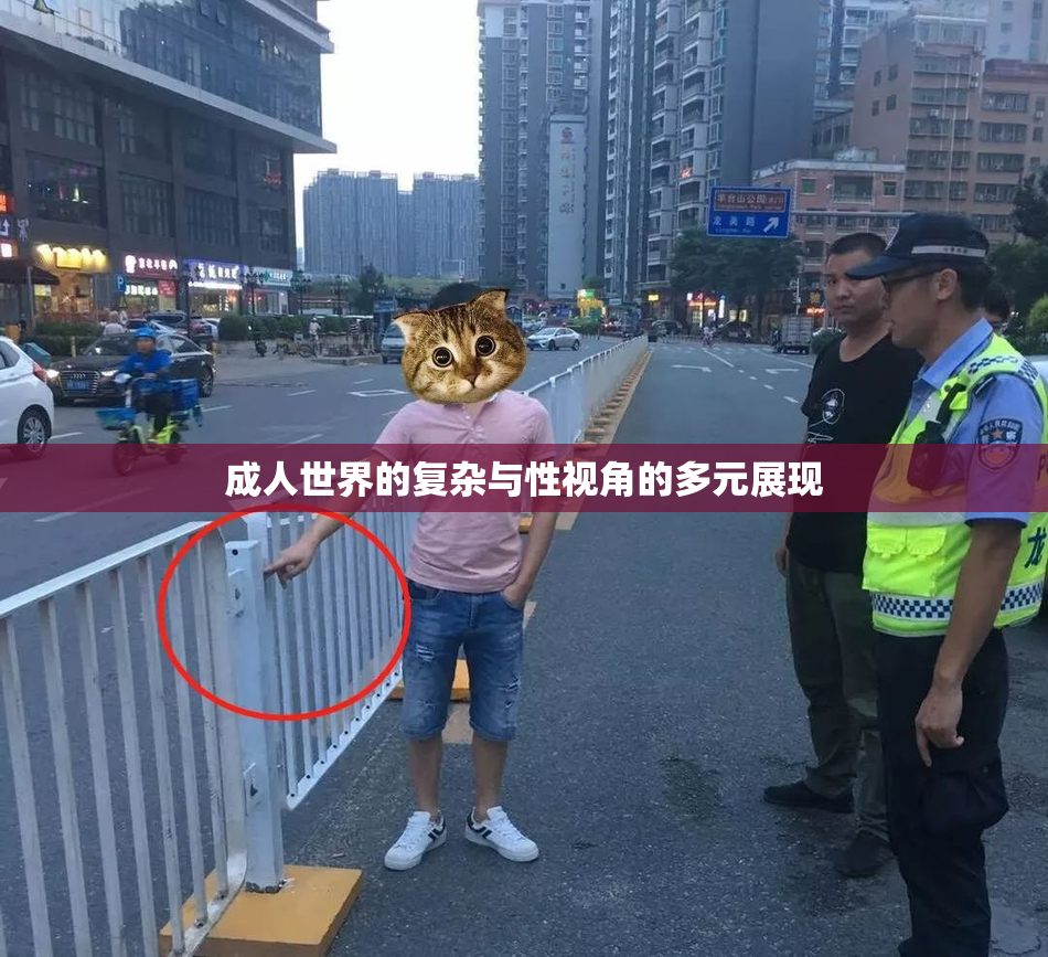 成人世界的复杂与性视角的多元展现