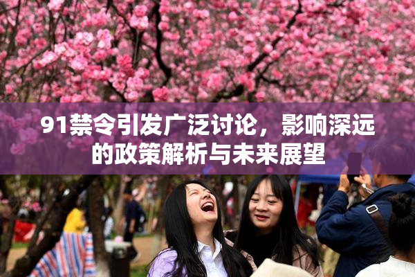 91禁令引发广泛讨论，影响深远的政策解析与未来展望