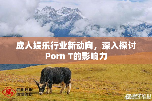 成人娱乐行业新动向，深入探讨Porn T的影响力