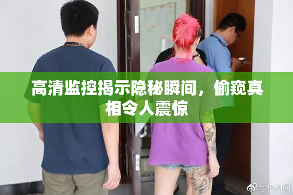 高清监控揭示隐秘瞬间，偷窥真相令人震惊