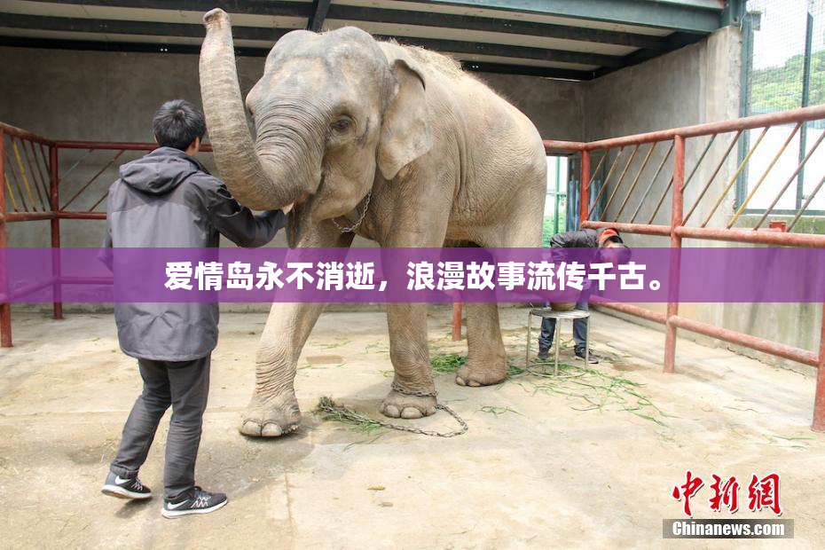 爱情岛永不消逝，浪漫故事流传千古。