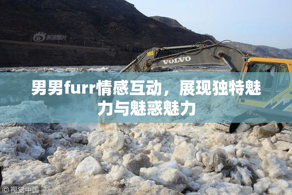 男男furr情感互动，展现独特魅力与魅惑魅力
