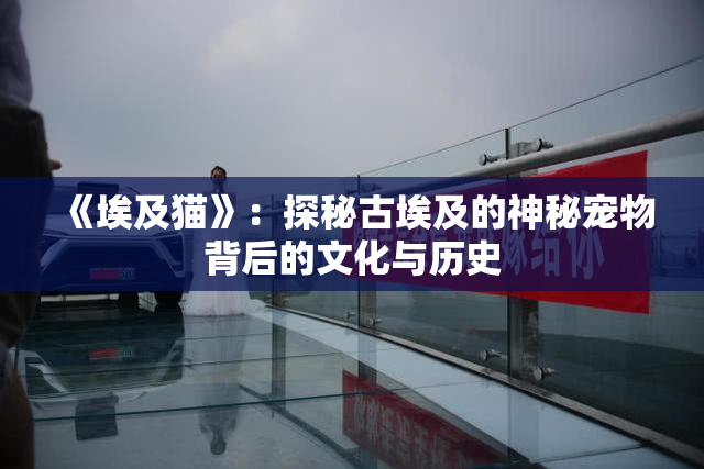 《埃及猫》：探秘古埃及的神秘宠物背后的文化与历史