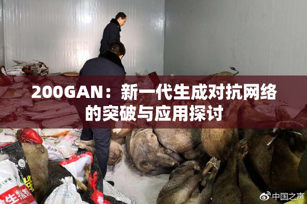 200GAN：新一代生成对抗网络的突破与应用探讨