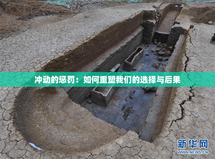 冲动的惩罚：如何重塑我们的选择与后果