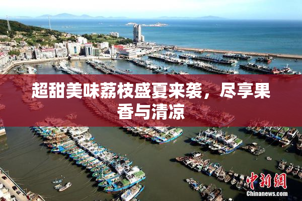 超甜美味荔枝盛夏来袭，尽享果香与清凉