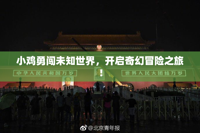 小鸡勇闯未知世界，开启奇幻冒险之旅！