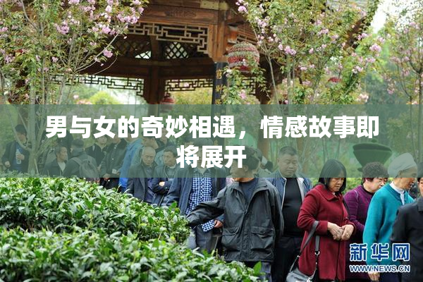 男与女的奇妙相遇，情感故事即将展开