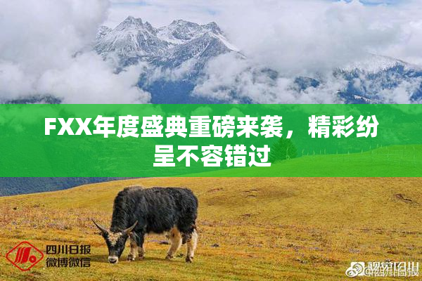 FXX年度盛典重磅来袭，精彩纷呈不容错过