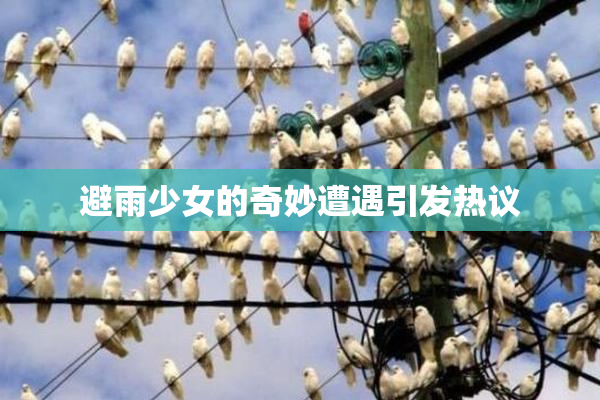 避雨少女的奇妙遭遇引发热议