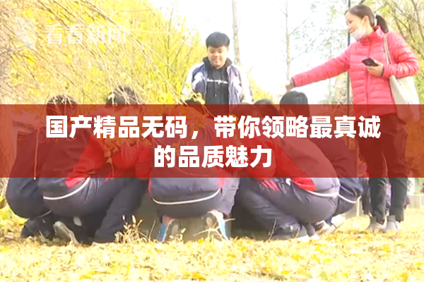 国产精品无码，带你领略最真诚的品质魅力