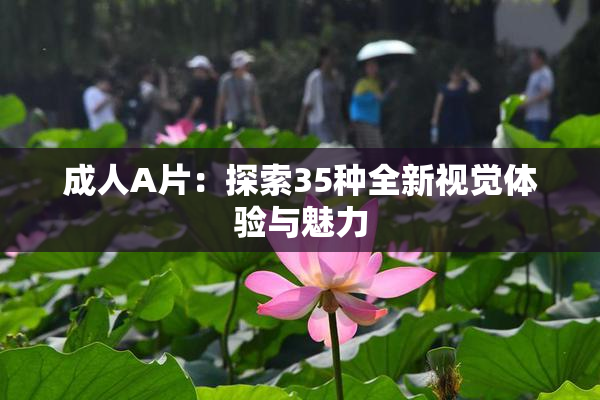 成人A片：探索35种全新视觉体验与魅力