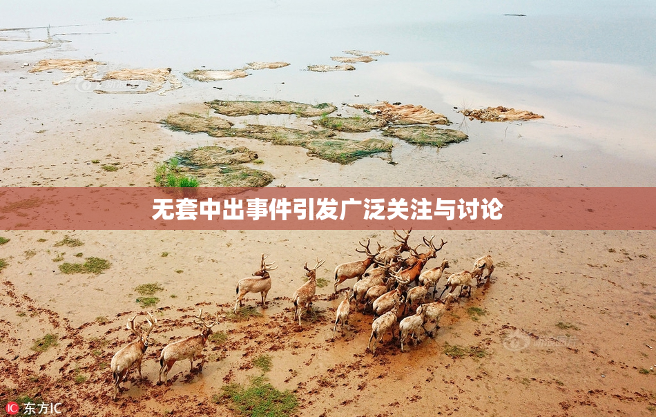 无套中出事件引发广泛关注与讨论