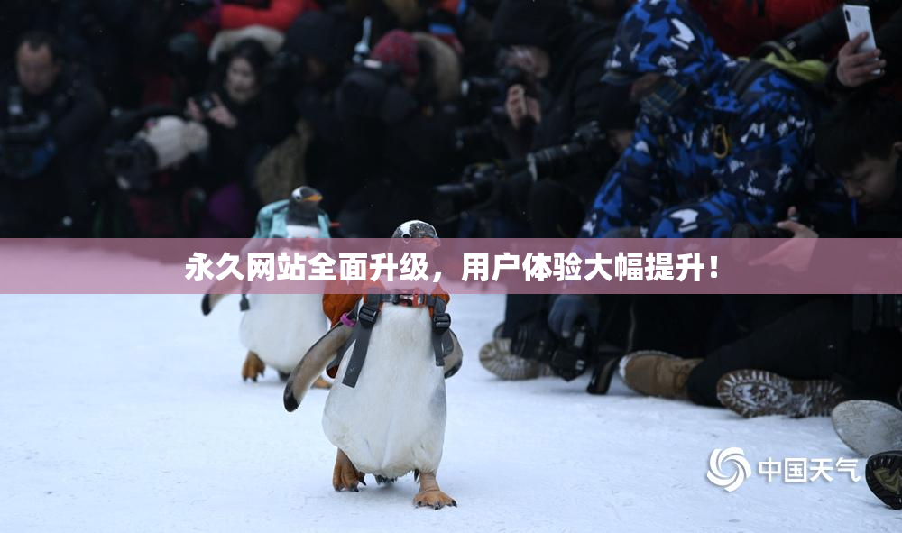 永久网站全面升级，用户体验大幅提升！