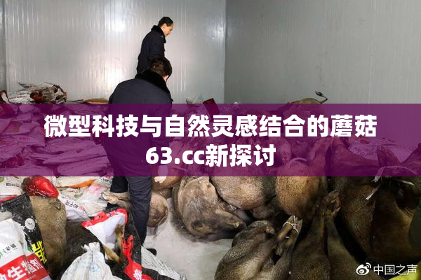 微型科技与自然灵感结合的蘑菇63.㏄新探讨