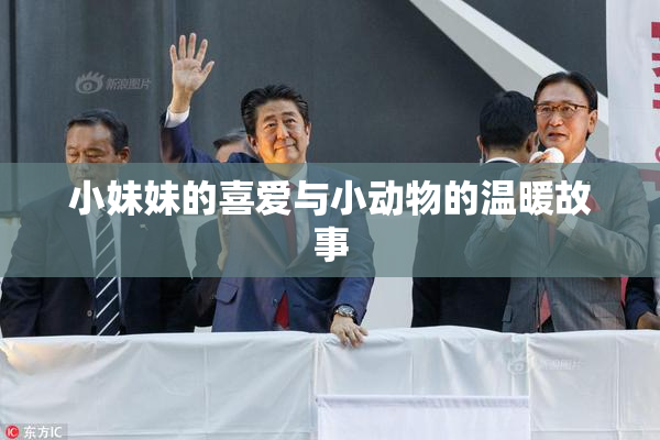 小妹妹的喜爱与小动物的温暖故事