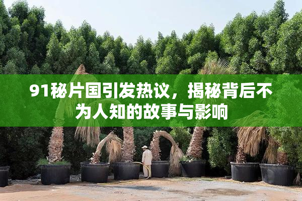 91秘片国引发热议，揭秘背后不为人知的故事与影响