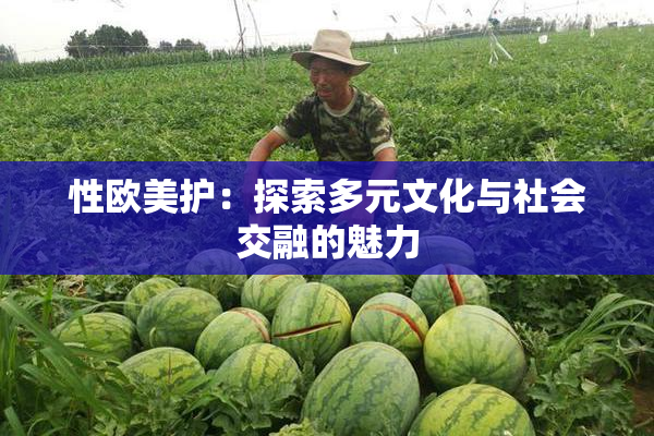 性欧美护：探索多元文化与社会交融的魅力