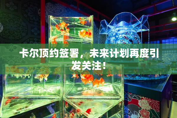卡尔顶约签署，未来计划再度引发关注！