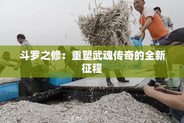 斗罗之修：重塑武魂传奇的全新征程