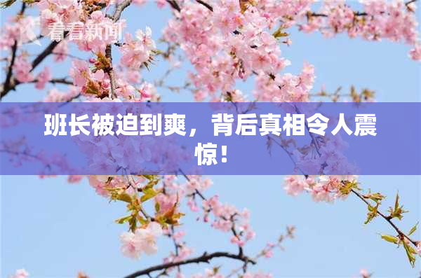 班长被迫到爽，背后真相令人震惊！