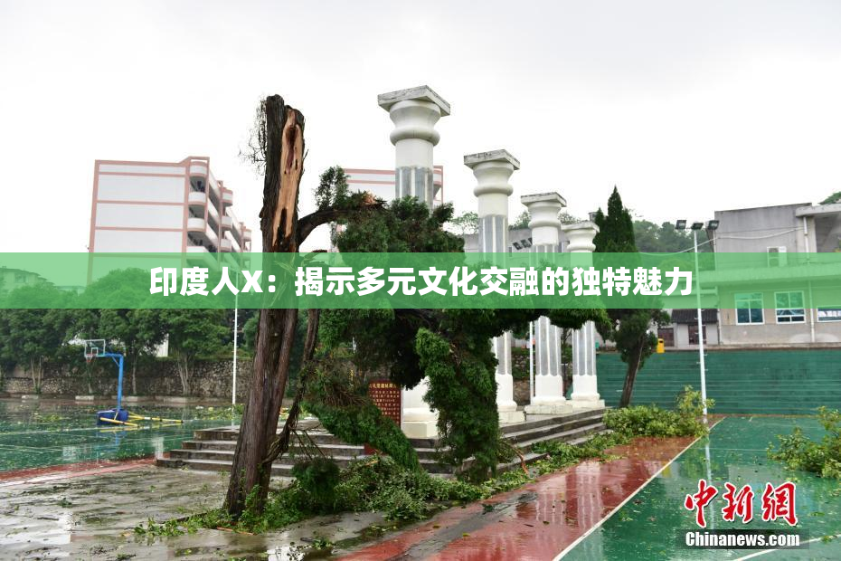 印度人X：揭示多元文化交融的独特魅力