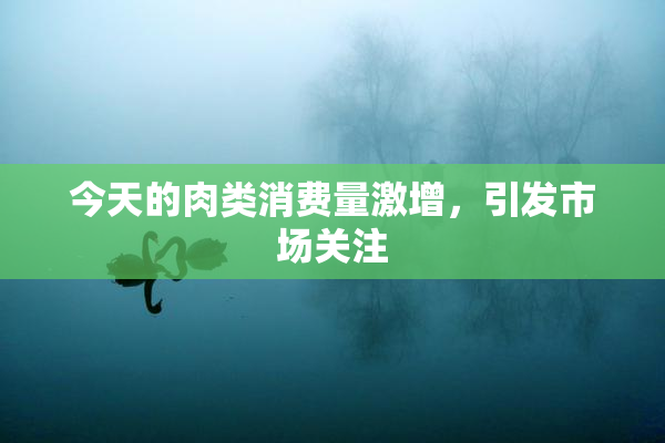 今天的肉类消费量激增，引发市场关注