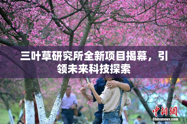 三叶草研究所全新项目揭幕，引领未来科技探索