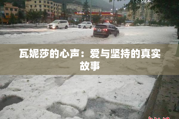 瓦妮莎的心声：爱与坚持的真实故事