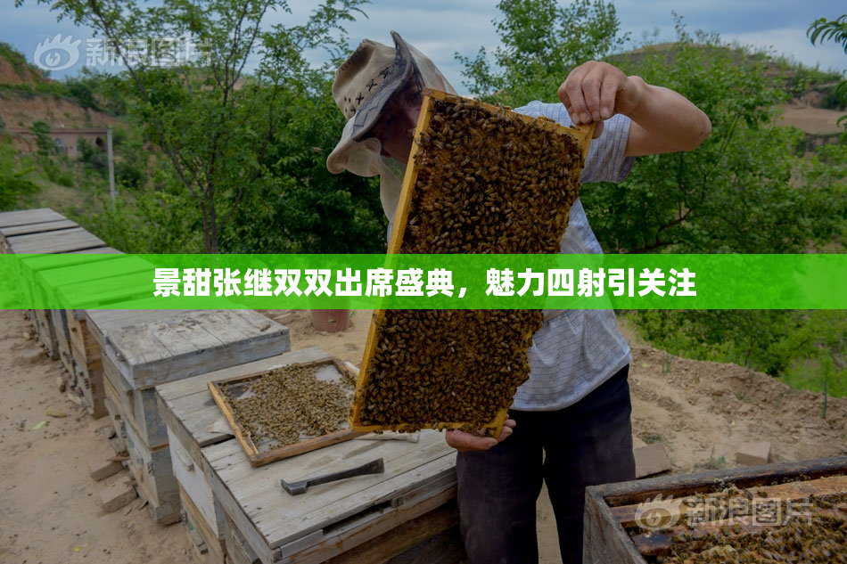 景甜张继双双出席盛典，魅力四射引关注
