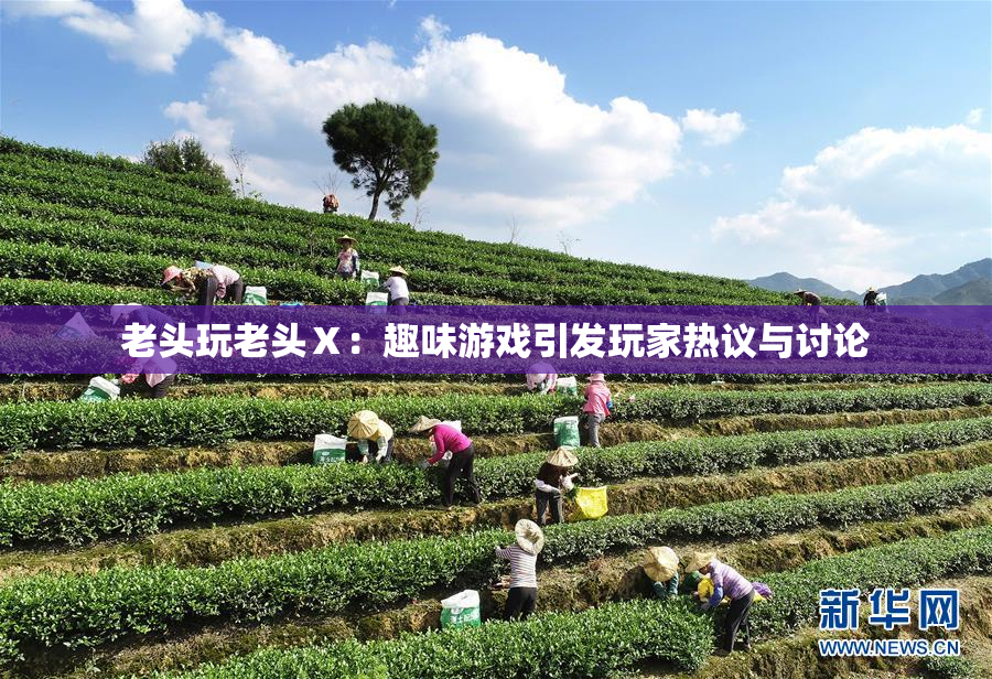 老头玩老头Ⅹ：趣味游戏引发玩家热议与讨论