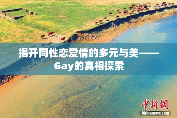 揭开同性恋爱情的多元与美——Gay的真相探索