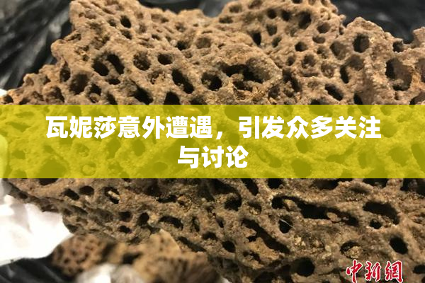 瓦妮莎意外遭遇，引发众多关注与讨论