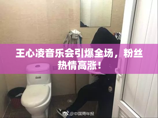 王心凌音乐会引爆全场，粉丝热情高涨！