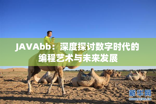 JAVAbb：深度探讨数字时代的编程艺术与未来发展