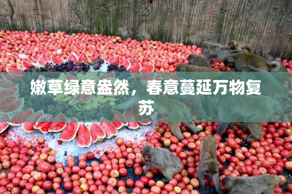 嫩草绿意盎然，春意蔓延万物复苏