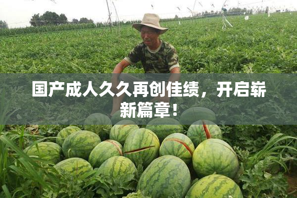 国产成人久久再创佳绩，开启崭新篇章！