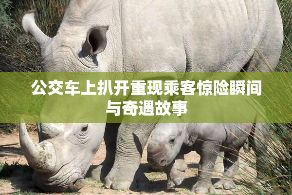 公交车上扒开重现乘客惊险瞬间与奇遇故事